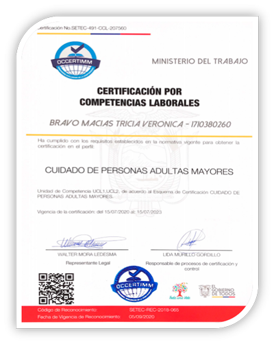 Clik Academy Certificaciones Cursos Con El Aval De Setec